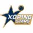 科平星logo